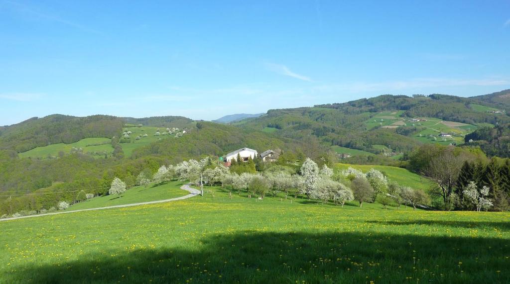 Villa Gölsenhof - Fam. Büchinger Wald  Exterior foto